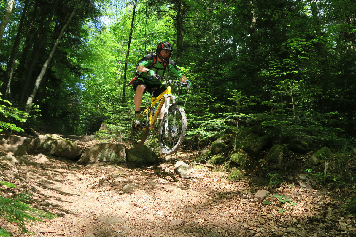 20211105-1000 IMG_8395 Ausschnitt-1200x800.jpg